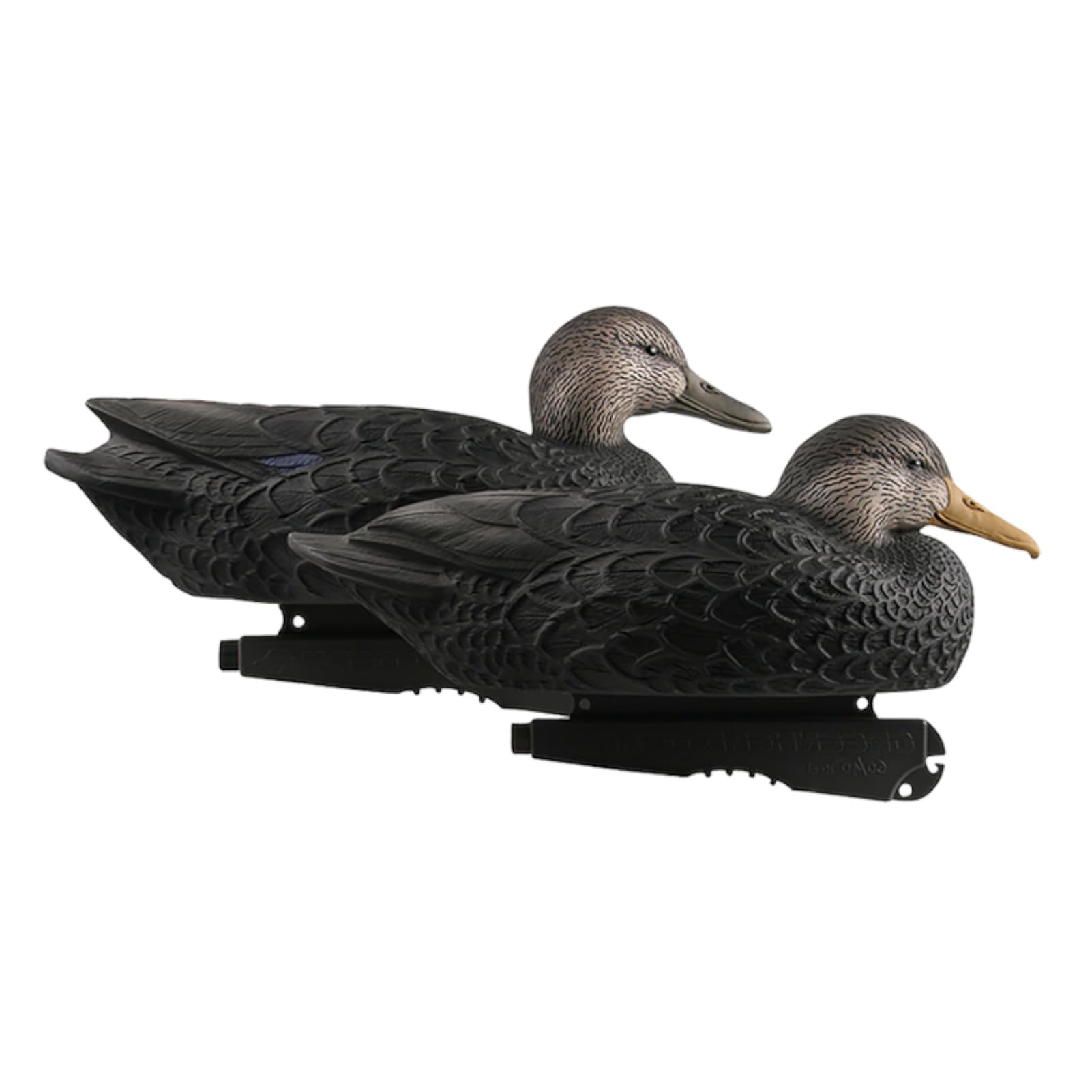 Avery 6 Pack of Over-Size Black Duck Decoys (73015)