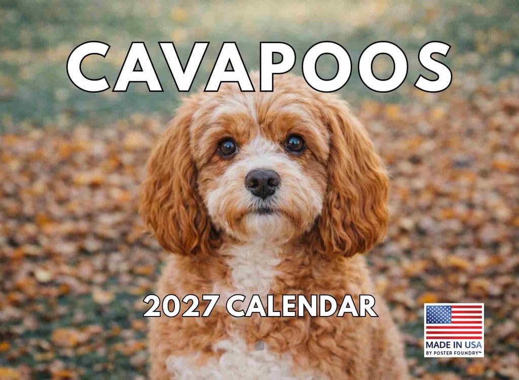 Cavapoo Calendar 2025 Monthly Wall Calender | American Made In The USA โ image 1
