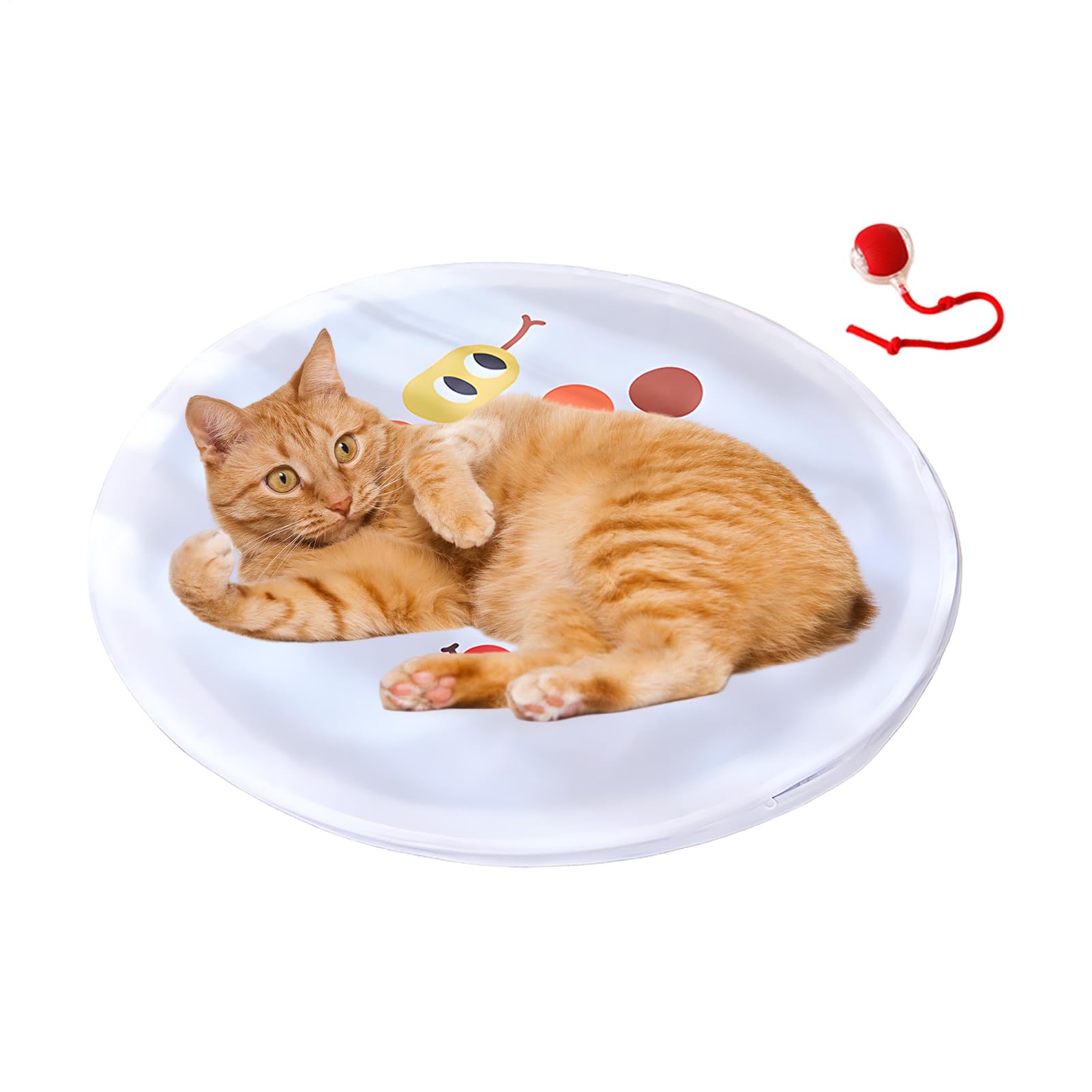 Couverture de chasse pour chaton avec balle roulante et jeu d'exercice