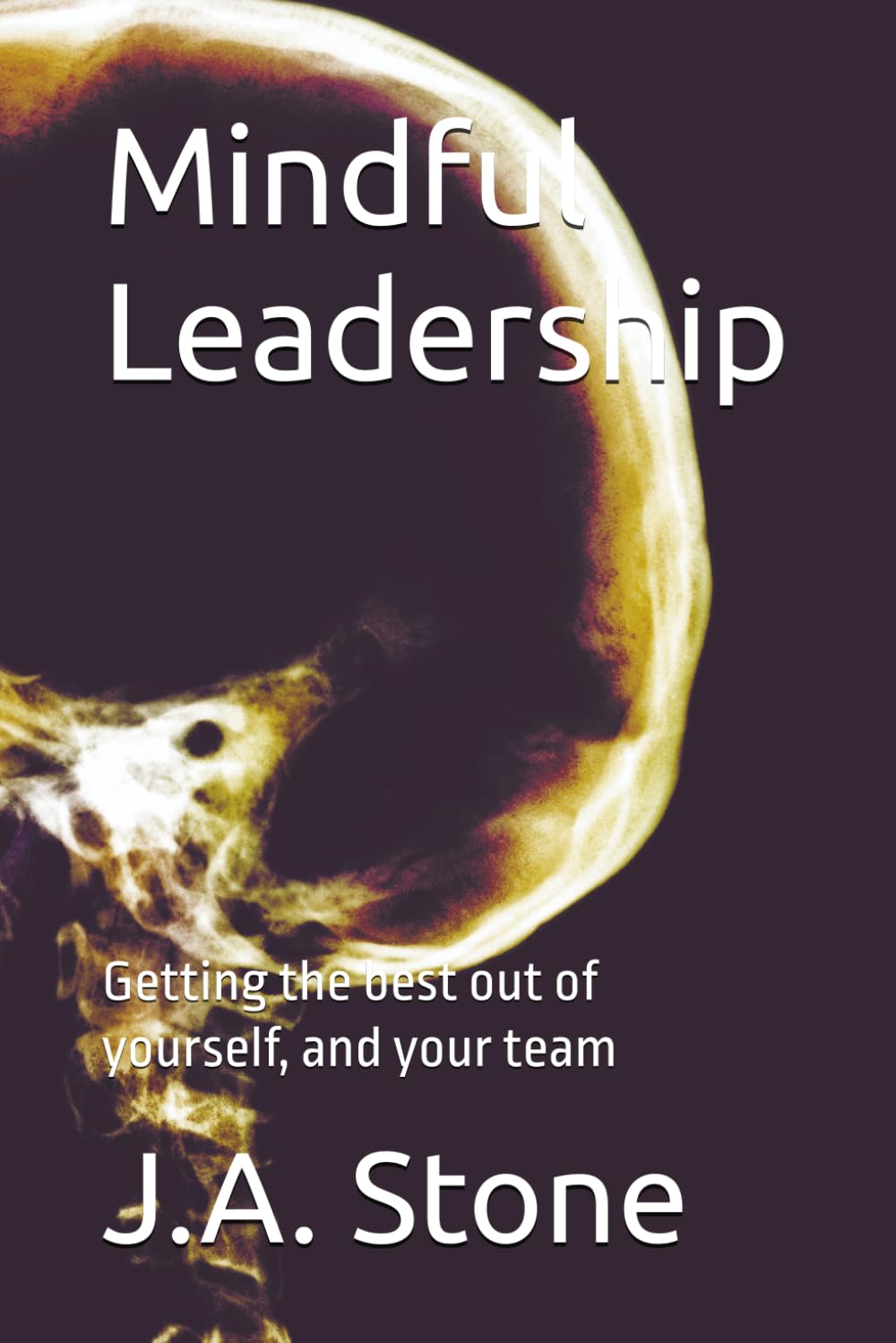 Mindful Leadership: Getting the best out of yourself, and your team (The Mindful Path)