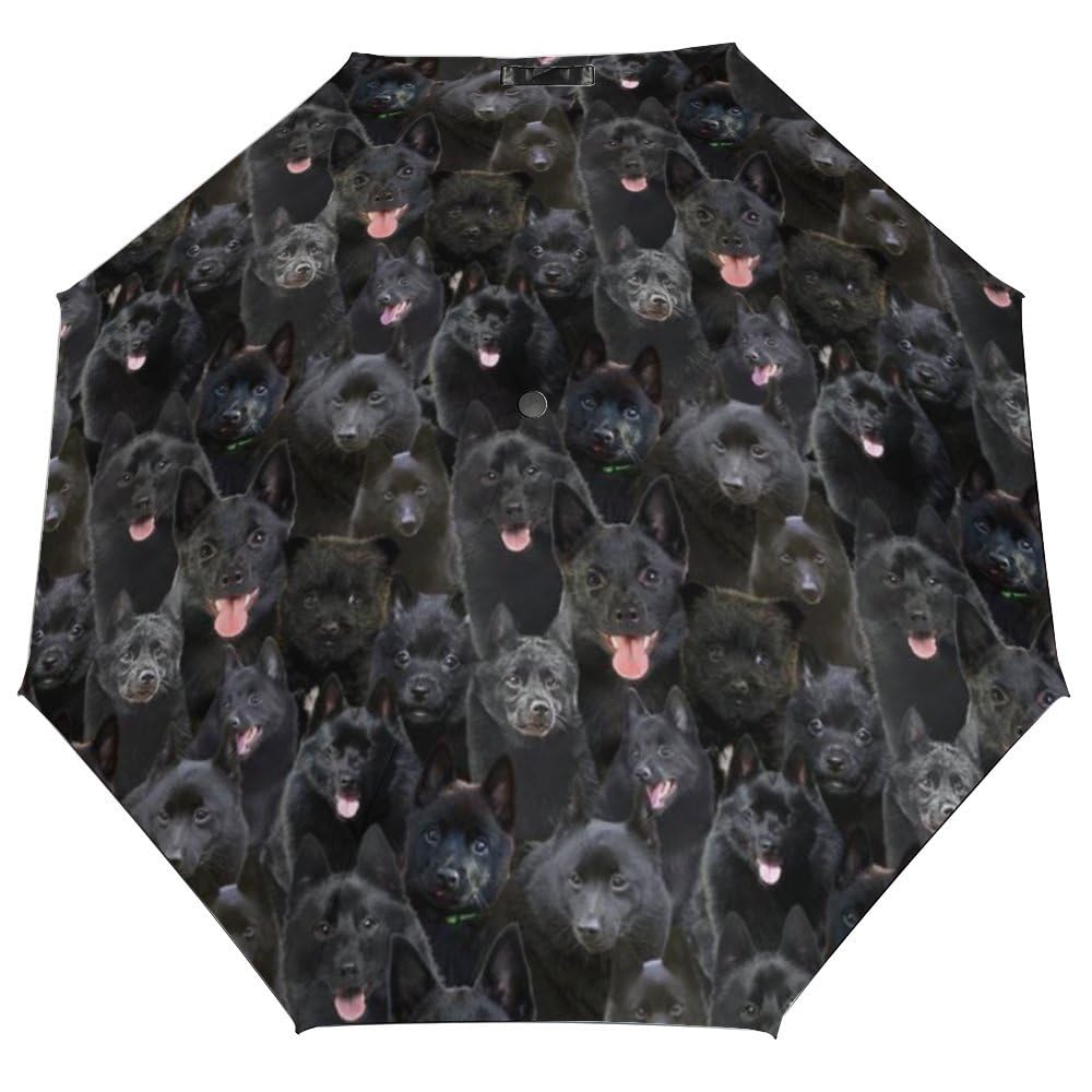 Smazdfxx Men's As Pic Schipperke Dog For Dog Mom Pet Schipperke Dog Owner, Umbrella For Schipperke Dog Lover, Cute Puppies Printed Manual Umbrellafunny Schipperke Dog Face 3 Fold Umbrella For Rain & Sun