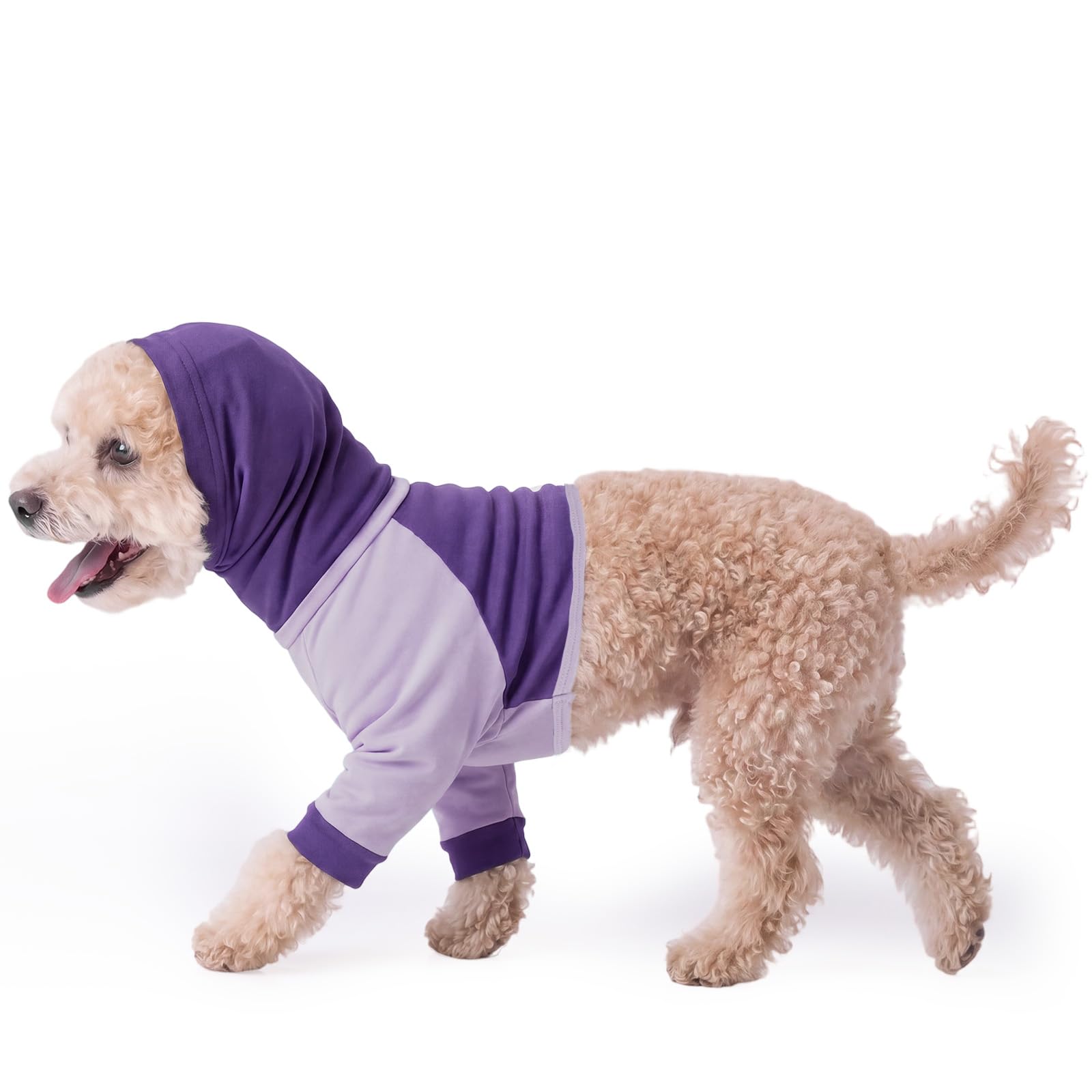 Dog Recovery Suit with Neck & Front Leg Protection, Anti Licking Shirt