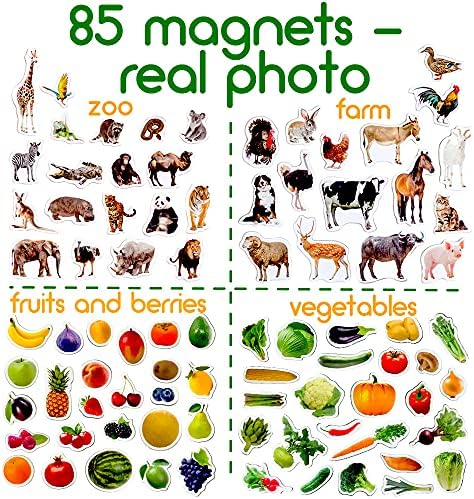 magdum 85 Photo Set Animals& Fruits& Vegetables in Gift Tin Box Refrigerator Magnets for Kids- Large Fridge Magnets for Toddlers- Learn Animals Toddlers Magnets for Fridge Kids Learning