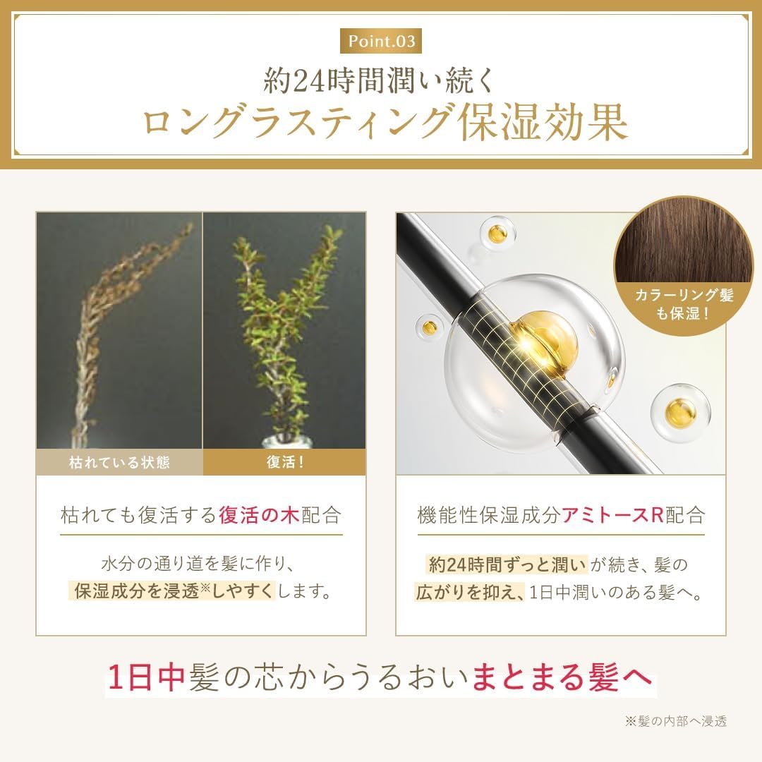 Amazon | 【公式】Cleo's Beaute クレオズボーテ|詰め替え シャンプー