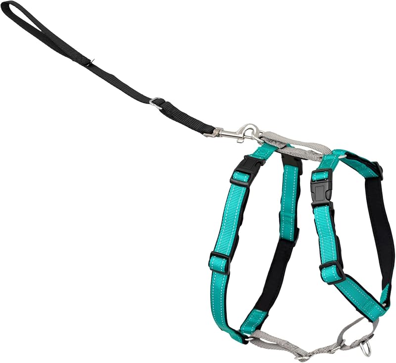 PetSafe Arnés para perros 3 en 1 sin tirones - Caminar, entrenar o viajar - Ayuda a evitar que las mascotas se tiren durante los paseos - La presilla del cinturón de seguridad funciona como asa de acceso rápido - Detalles reflectantes - Pequeño, verde azulado | Se apoya en el pecho, no en la garganta para reducir los tirones, 5 puntos de ajuste, presilla para el cinturón de seguridad del automóvil, nailon reflectante para poca luz