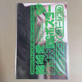 Amazon.co.jp: Ai Shinozaki BIG Poster 2009 Young Champion Retsu No.20 ...