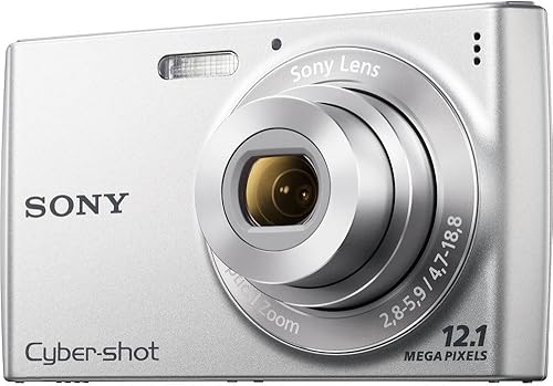 Sony Cyber-Shot DSC-W510 Cámara fotográfica digital de 12,1 MP con lente de zoom óptico de gran angular 4x y LCD de 2,7 pulgadas (plateado)