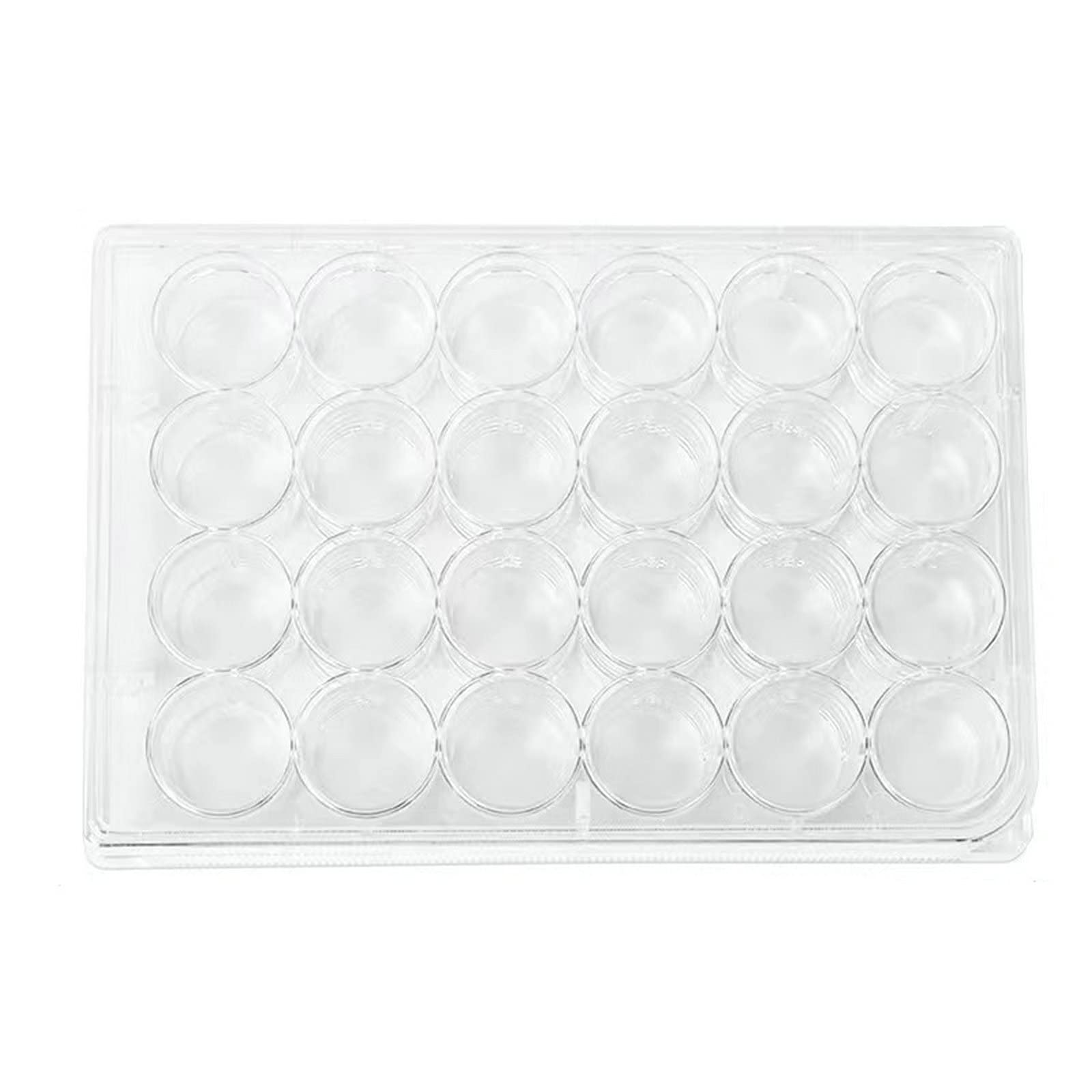 24 Well Culture Plate - Flat Bottom, Transparent, Reusable, Dishwasher Safe, Pack of 10