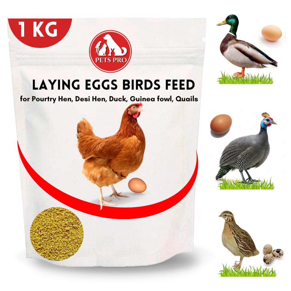 Pets Pro Poultry Birds Feed for Egg - Laying/Production Birds Food 1 KG, for Desi Hens, Ducks, Guinea Fowl, Quails Birds Food Mix Seeds-image-14