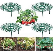 10 Pack Strawberry Supports Keeping Fruit Elevated & Balcony Planting Rack Fruit Support Plant Flower Climbing Vine Pillar Gardening Stand