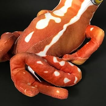 Amazon.co.jp: （21）オレンジ色のカエル リアル ぬいぐるみ