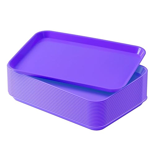 JMU 20 bandejas planas de plástico dental autoclavables tamaño B, configuración de instrumentos, 13.25 x 9.75 pulgadas, color morado
