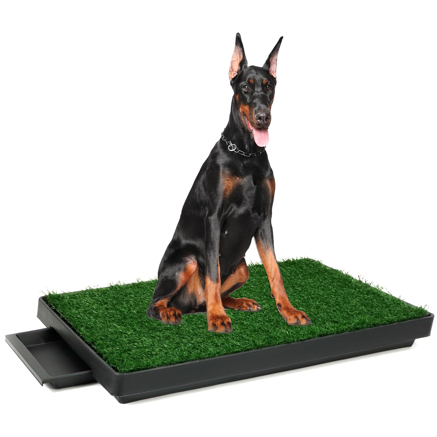 QWORK® 76 x 51 cm Inodoro Perros con Césped Artificial, Fácil de Limpiar, para Entrenamiento de Cachorros y Perros Ancianos