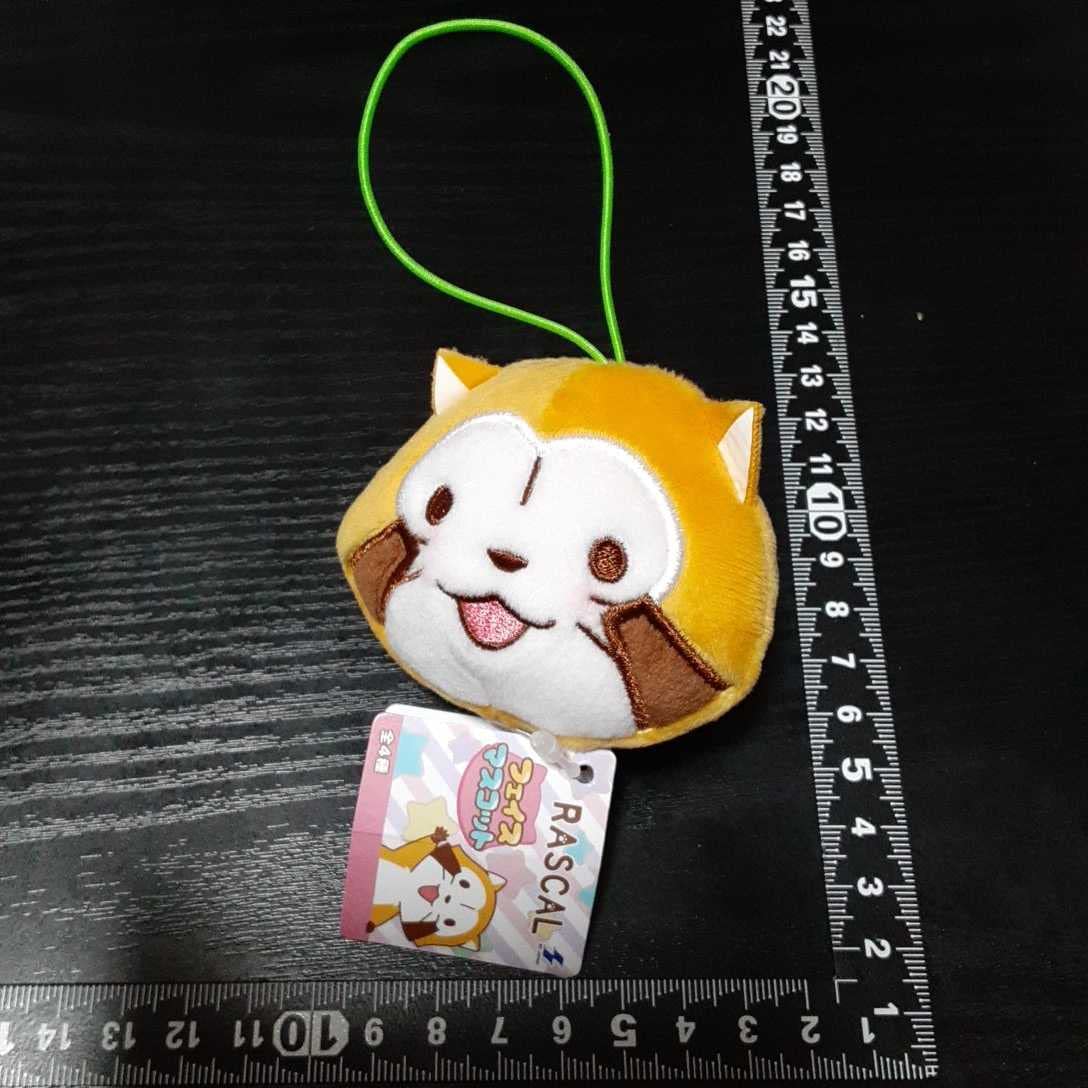 ラスカル ぬいぐるみストラップ フェイス あらいぐま 約100点 ラスカル ぬいぐるみストラップ フェイス あらいぐま 約100点