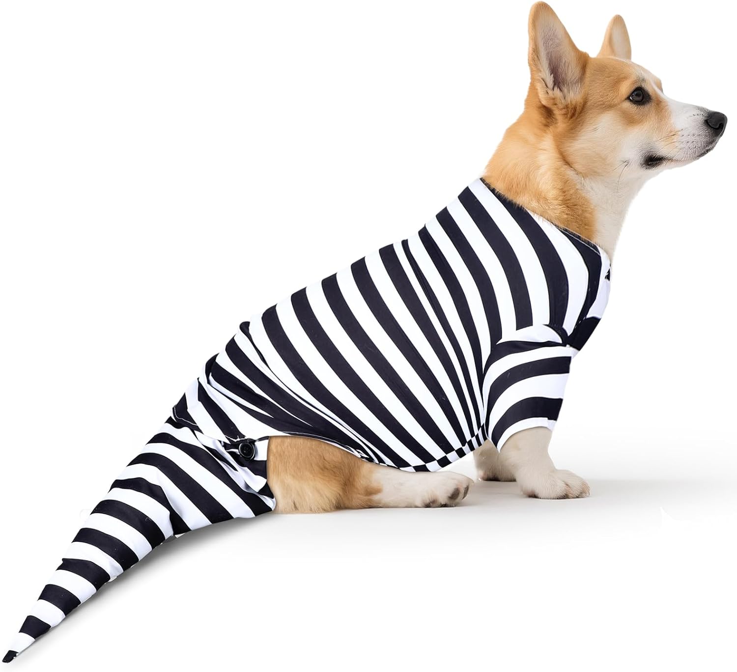 Disfraz de Perro Sandworm Halloween Negro y Blanco