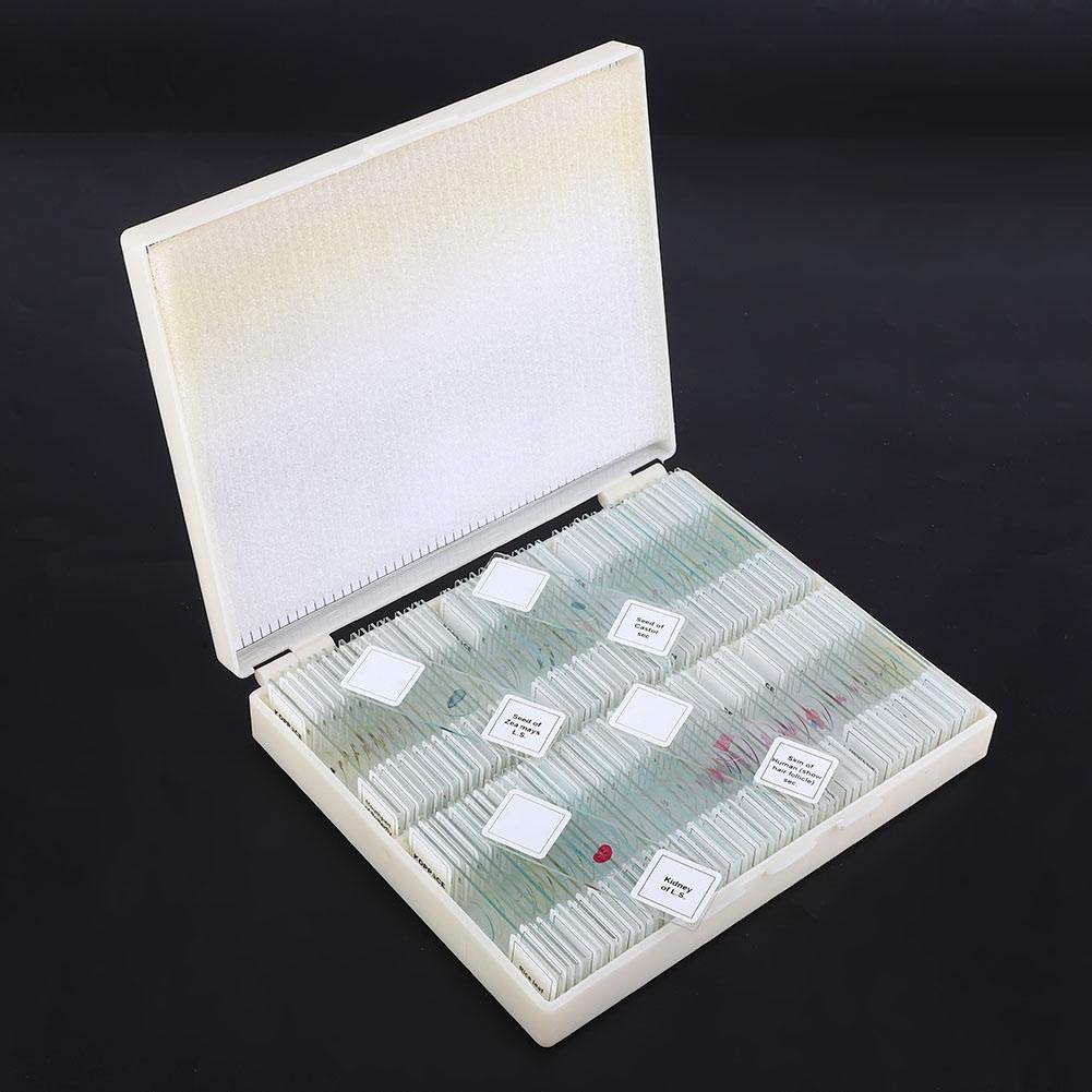 100 piezas Juego de portaobjetos preparado Portaobjetos de microscopio preparado Laboratorio Surtido de muestras Accesorios para microscopios