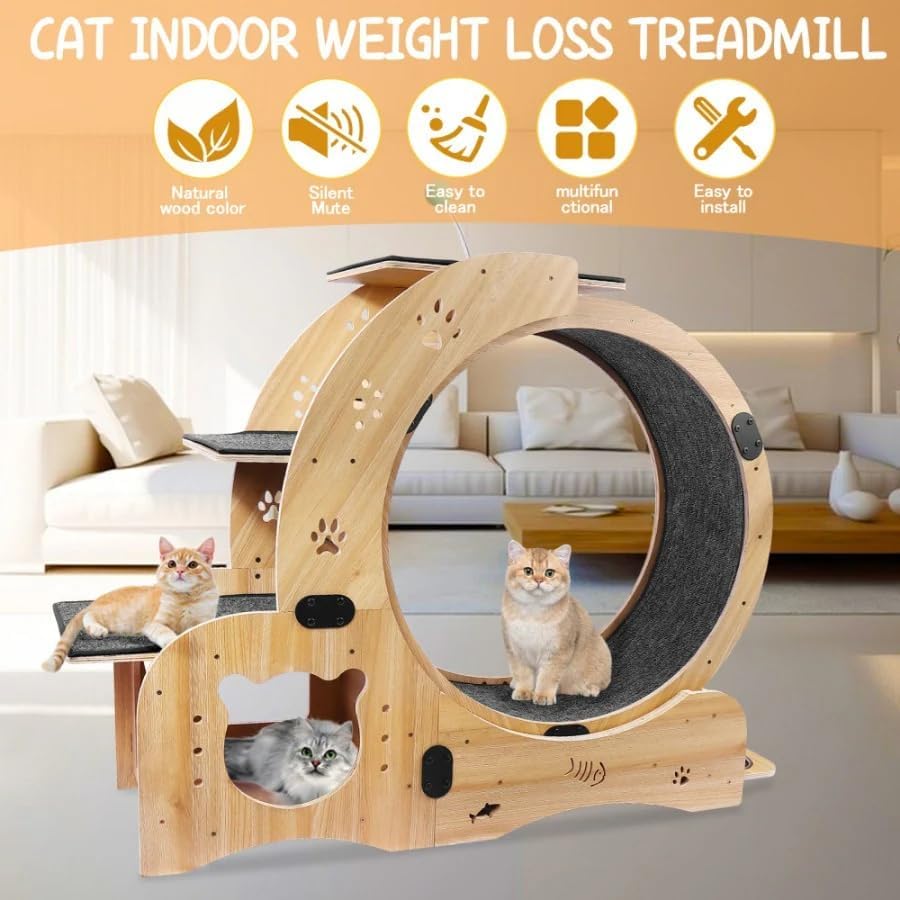 6-in-1 Cat Wheel, Upgraded Silent Cats Exercise Wheel for Large Cats, Indoor Running Treadmill, Cat Walking Furniture & Toys