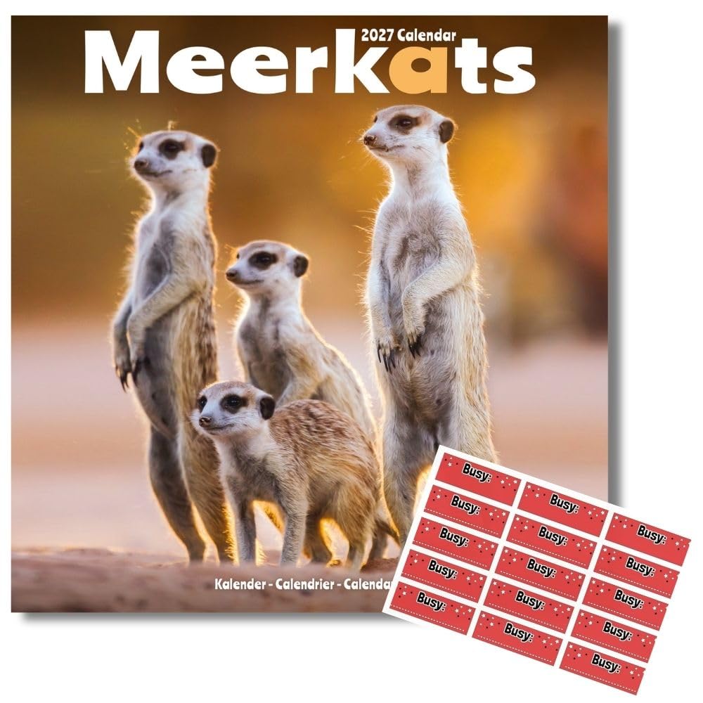 Avonside Meerkats 2027 Square Calendar with Organisational Stickers