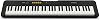 Casio CT-S100 61 KEY ORG