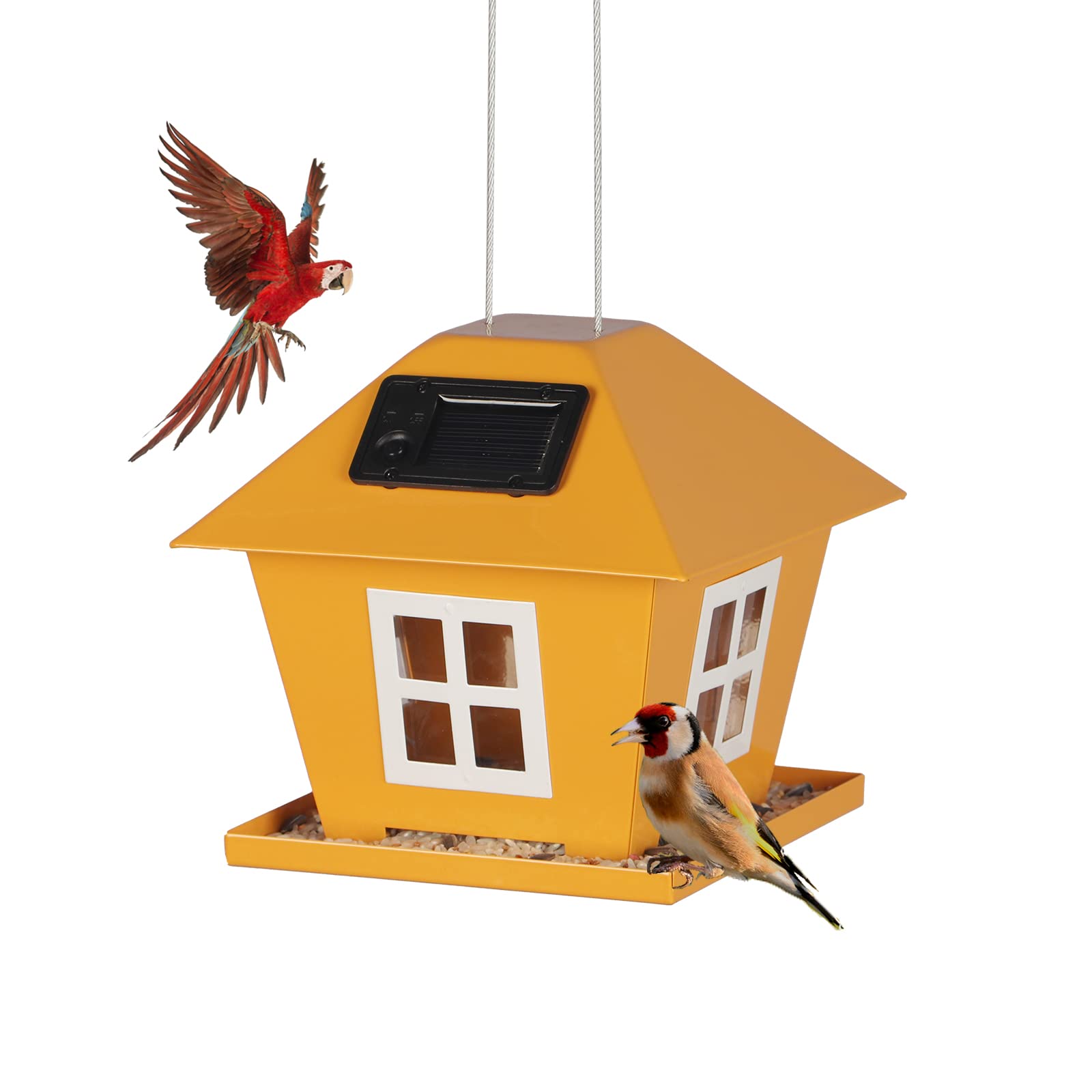 Buy B&P Solar Bird House Feeders for Outside,Hanging Bird feeders