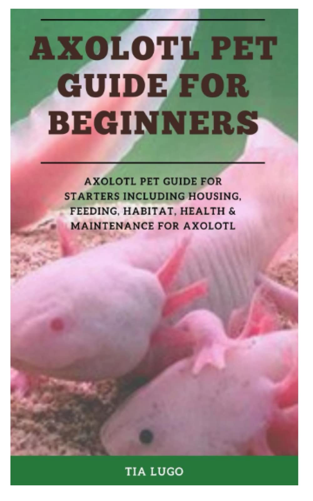 Buy AXOLOTL PET GUIDE FOR BEGINNERS Axolotl pet guide for starters