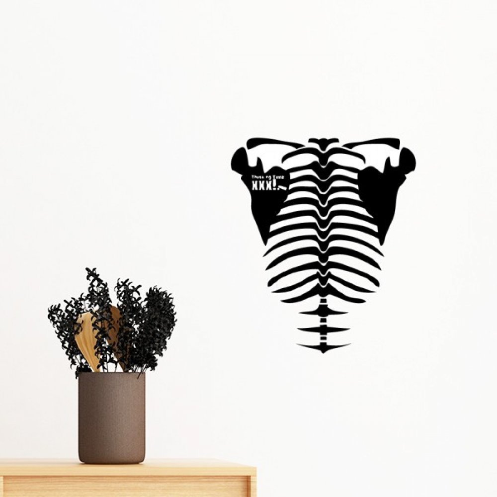 Squelette du corps humain autocollant mural amovible art stickers deco chambre 35cm