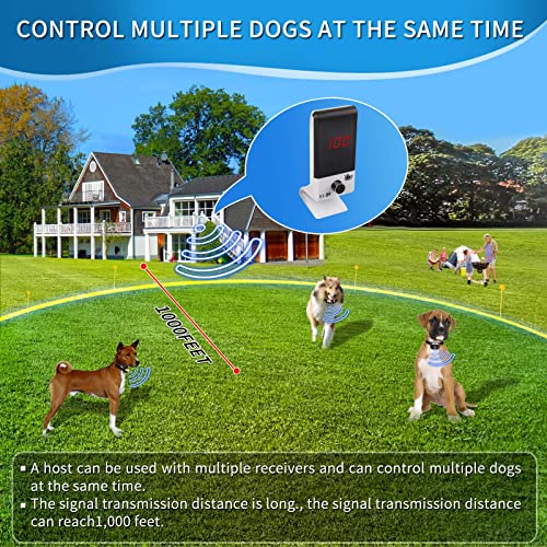 Wireless Dog Fence Transmitter and Collar