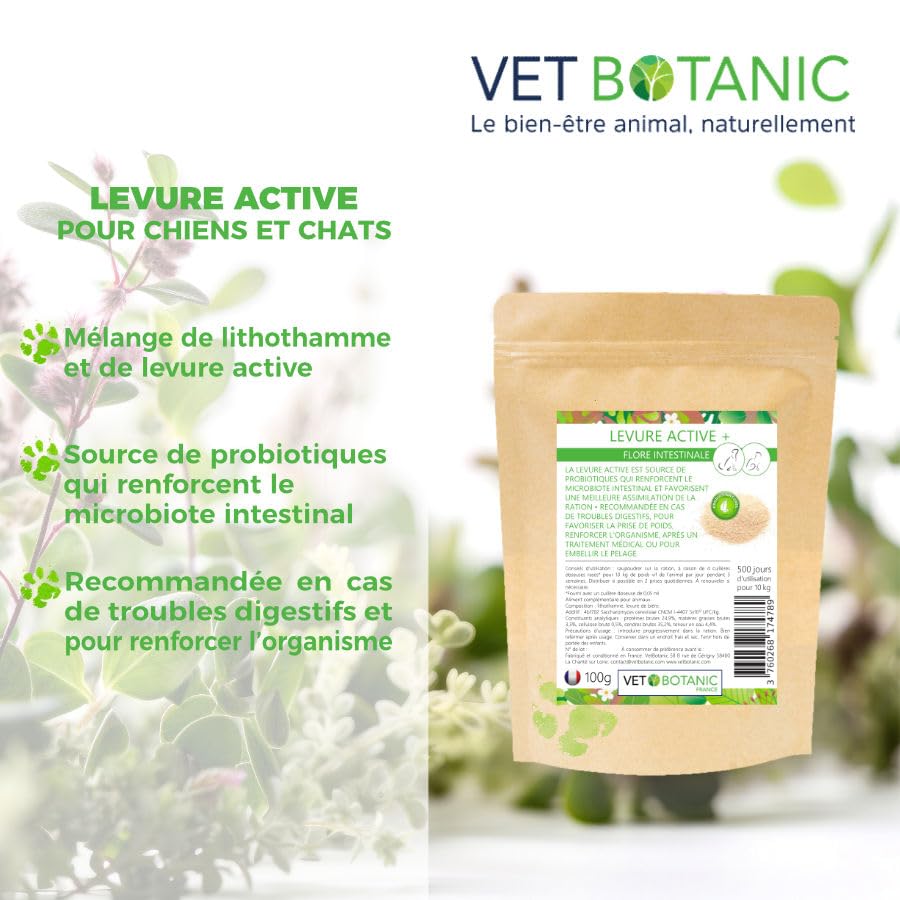 Levure Active - Probiotique pour Chiens et Chats, 100g - Vetbotanic