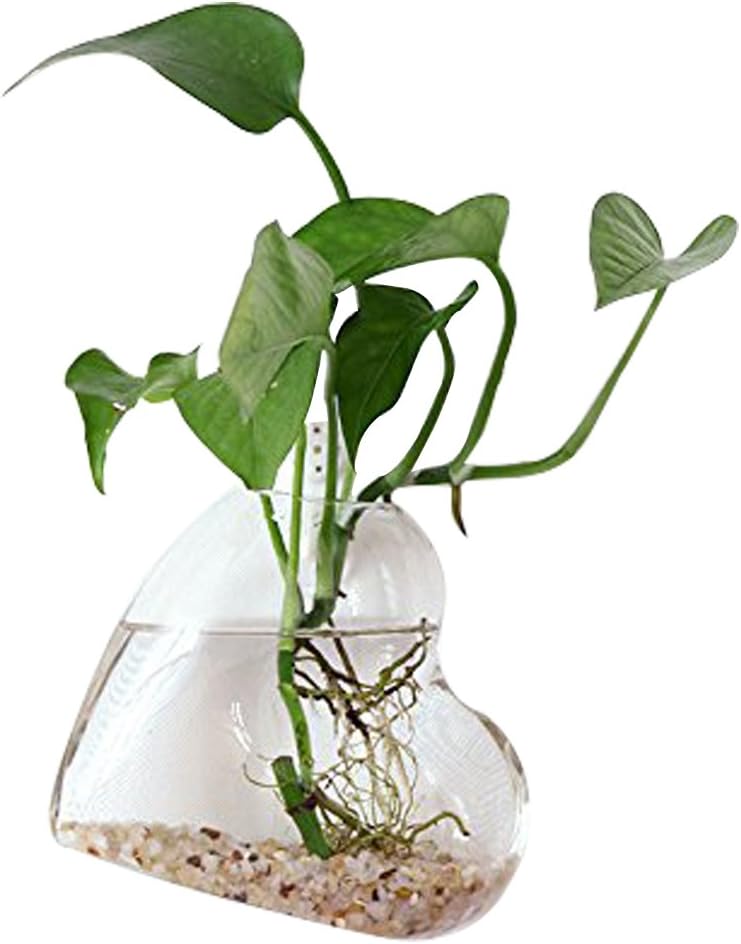 Heart Shape Wall Hanging Plant Terrarium Glass Wall Planter