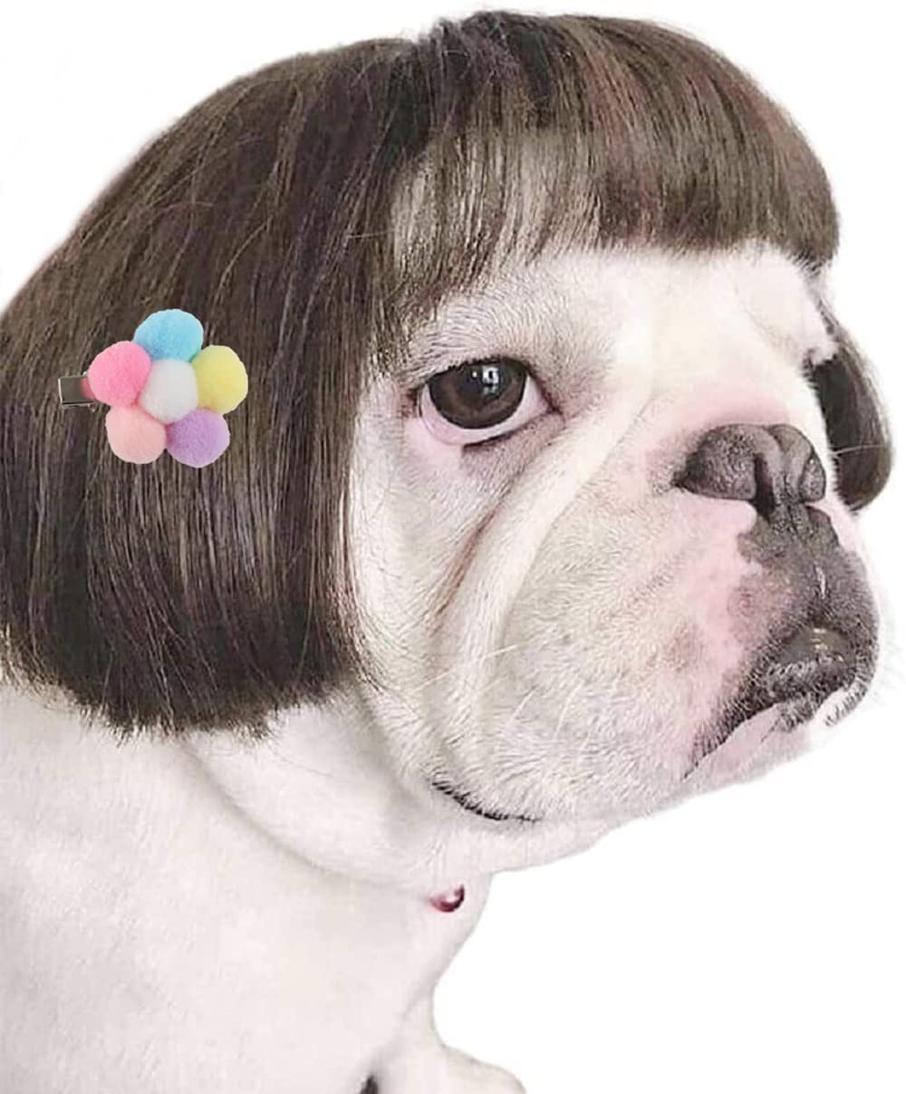 wigs for dogs