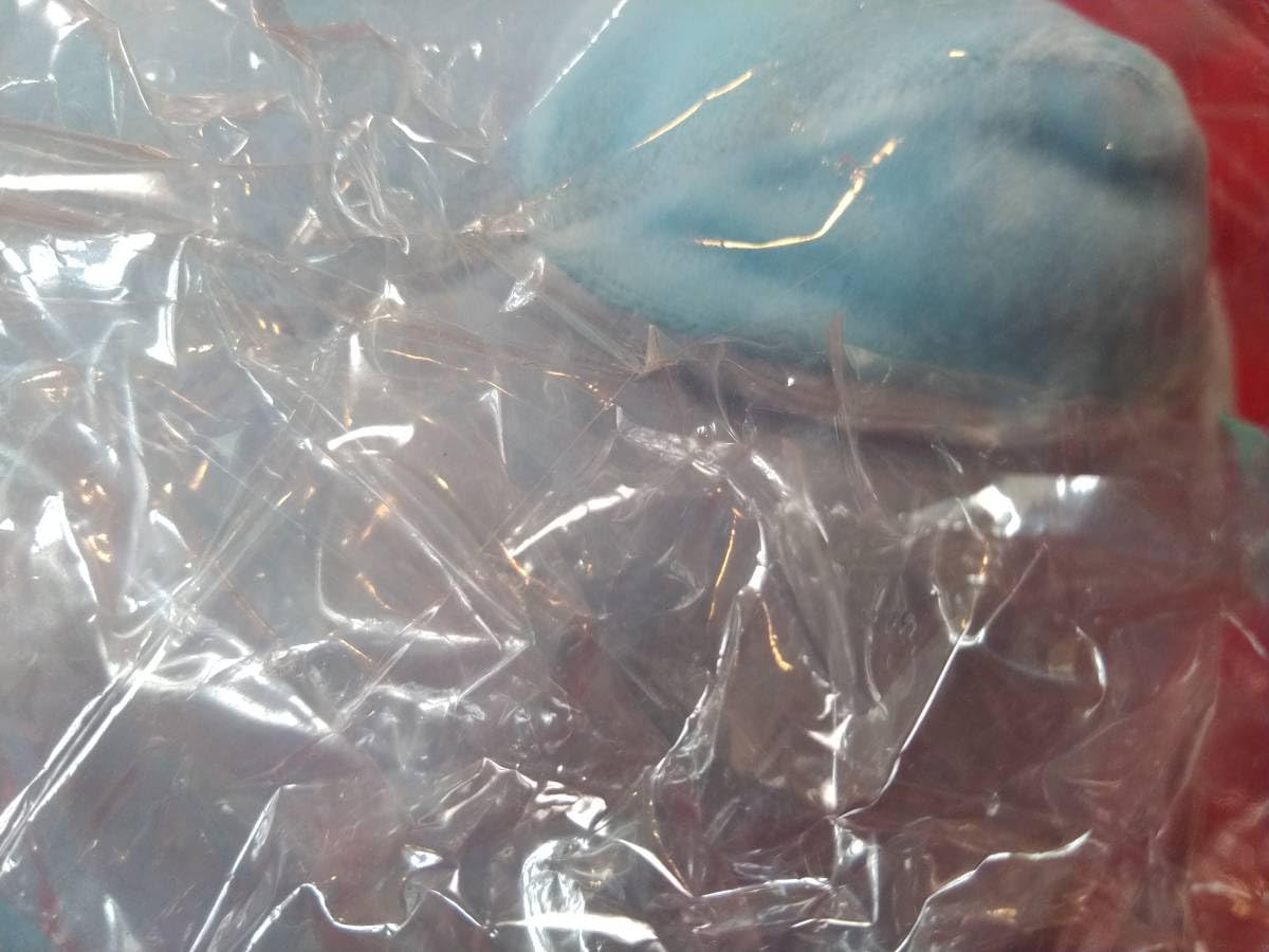 Amazon.co.jp: ・未・タグ付きコウペンちゃん もちっとぬいぐるみ