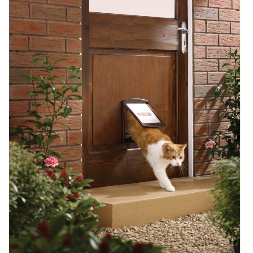Trappe Chat Porte Kju00f8p Petsafe Staywell Original Way Pet