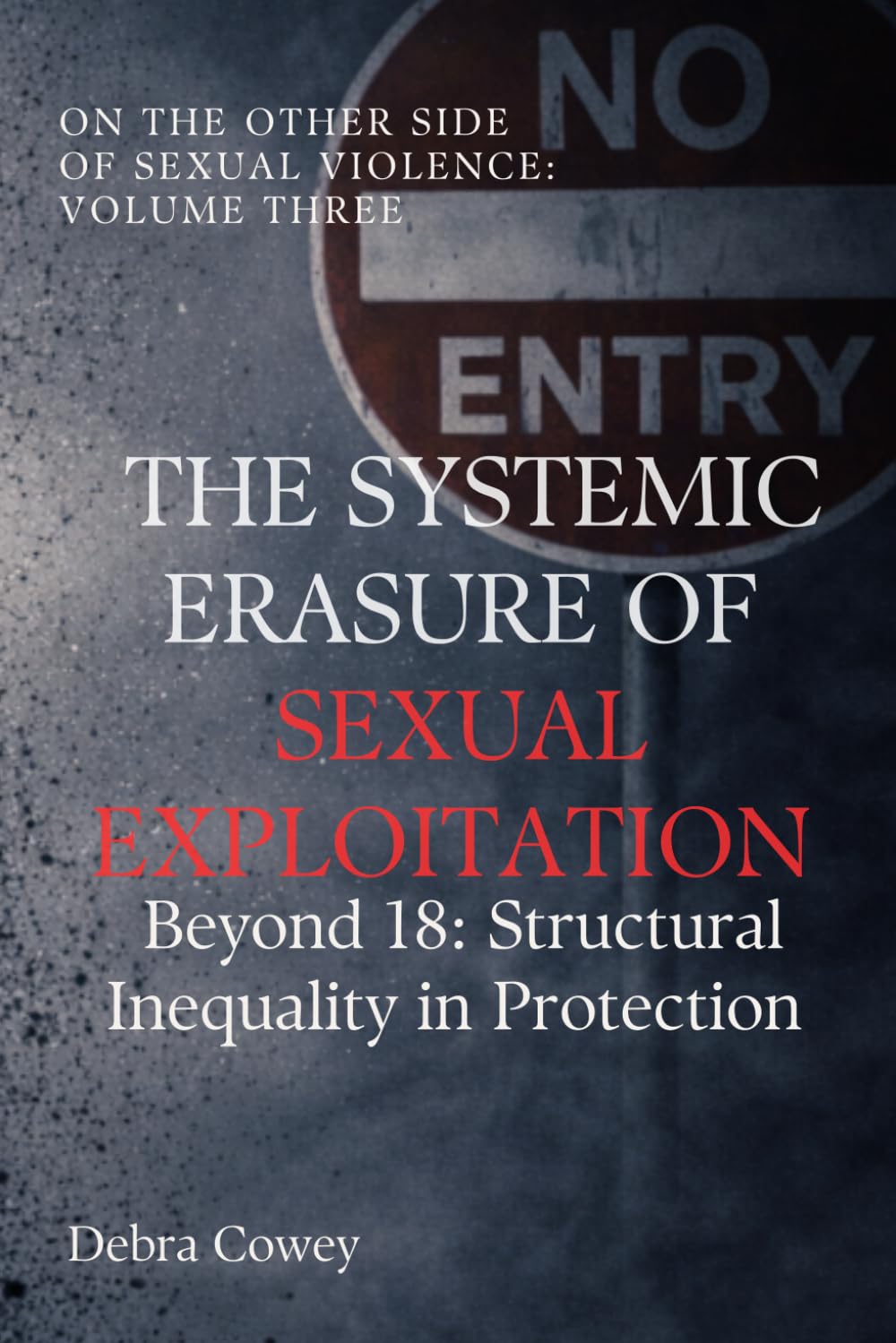 The Systemic Erasure of Sexual Exploitation: Beyond 18: Structural Inequality in Protection (On the Other Side of Sexual Violence)