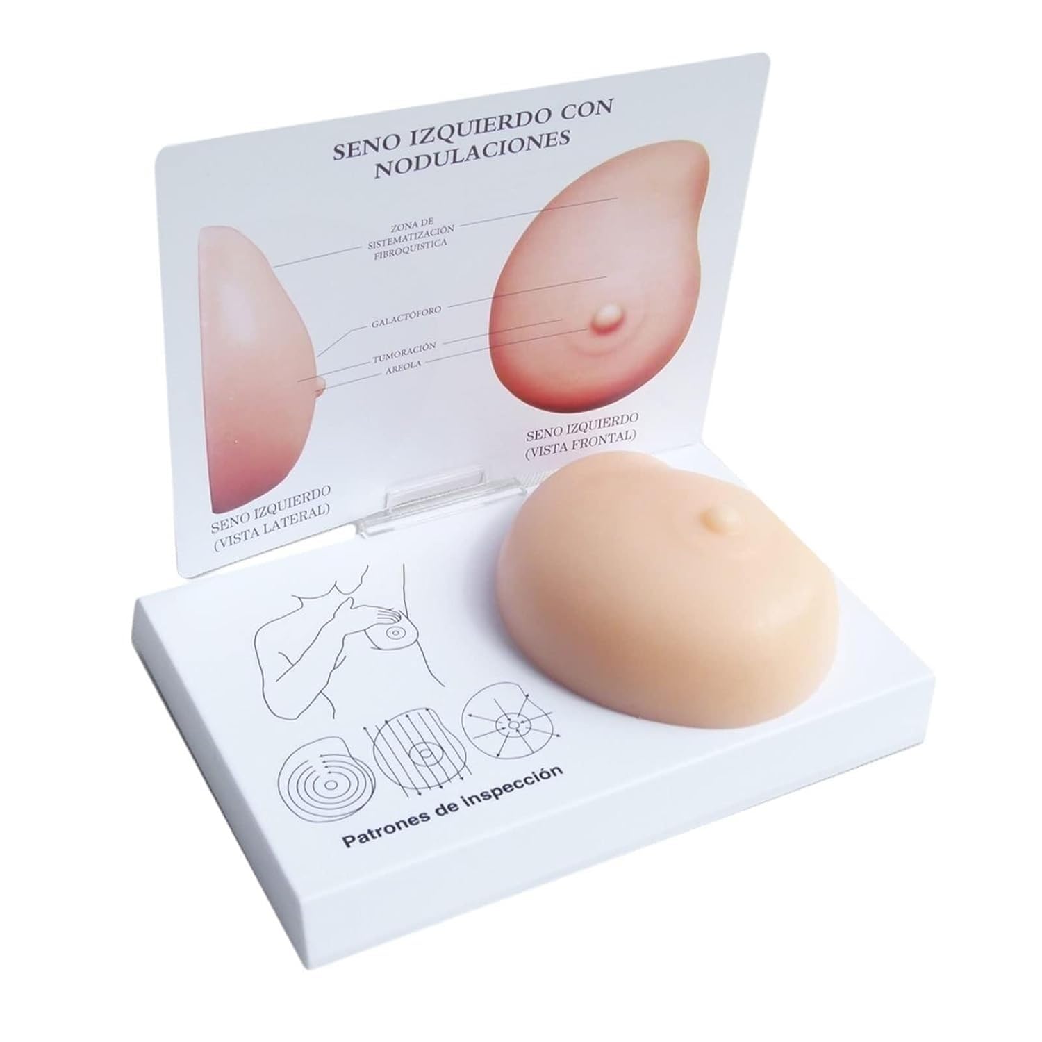 Modello di seno in silicone, modello anatomico del cancro al seno, modello di autotest patologico del seno for grumi, strumento medico, for la comunicazione medico-paziente, insegnamento