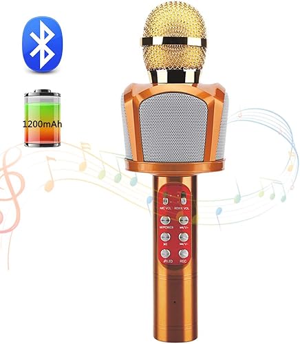 Tragbares Handmikrofon  kabelloses Karaoke-Mikrofon mit Bluetooth-Lautsprecher zum Singen von AufnahmegesprA chen oder fA r Kinderheimpartys Gold