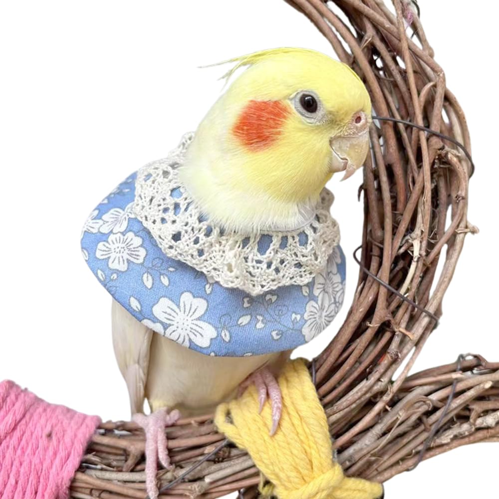 Adjustable Bird Collar Anti Bite Elizabethan Recovery Cone, Bird Neck Protector for Feather Plucking, Skin-Friendly Bird Neckwear Full Body Shield (XX-Large,Blue)