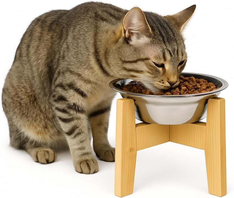 Cat Bowl - Stainless Steel Dog Cats Food & Water Bowls with Bamboo Stand, Raised Pet Feeder for Small Dog Small Puppy and Cats to Reduce Neck Strain & Improve Digestion