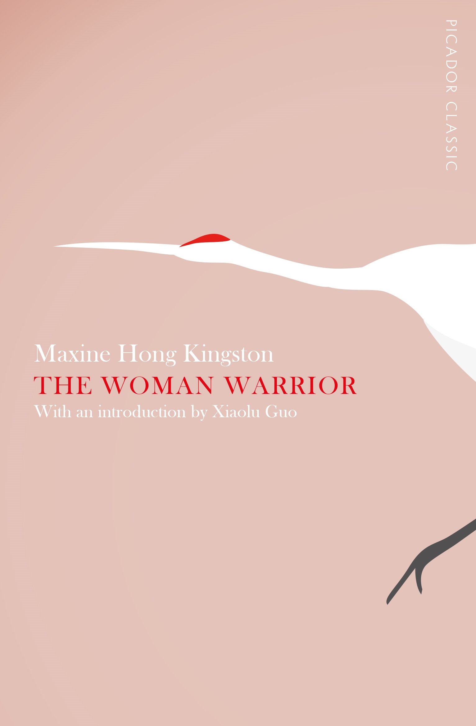 The Woman Warrior: 14 (Picador Classic, 14)