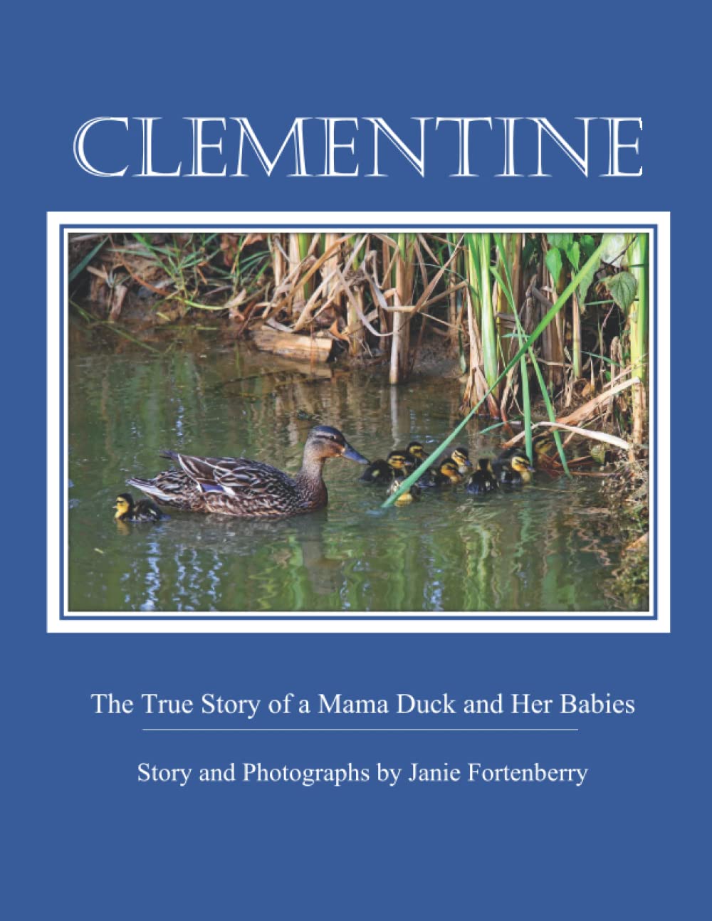 Clementine: The True Story of a Mama Duck and Her Babies