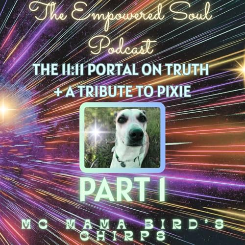 『S1E17: PART 1 &mdash; The 11:11 Portal on Truth, Transformation, Ancestors & A Healing Tribute to Pixie』のカバーアート