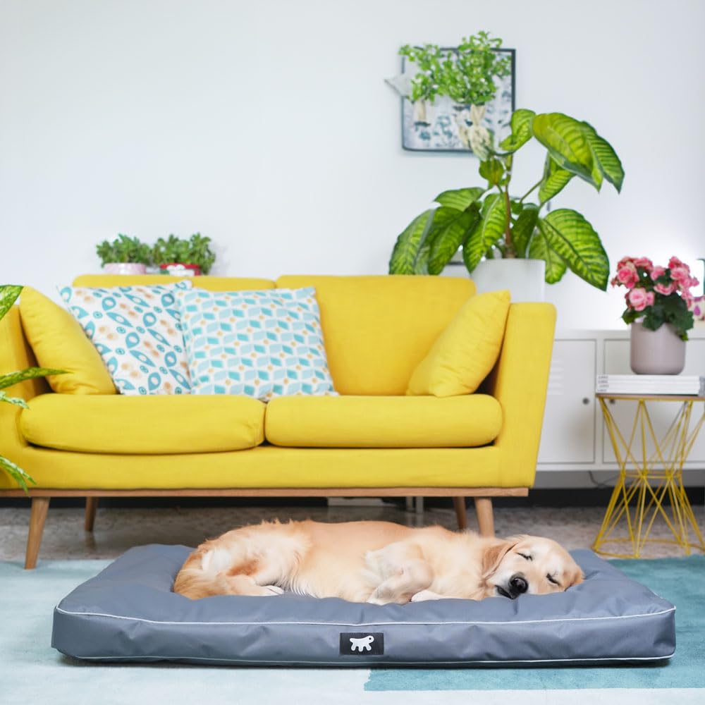 FERPLAST Cama para Perros - Perrera ortopédica Muy Grande - Colchoneta para Perros - Impermeable y a Prueba de arañazos - Polo,110 x 70 x h 8 CM, Gris