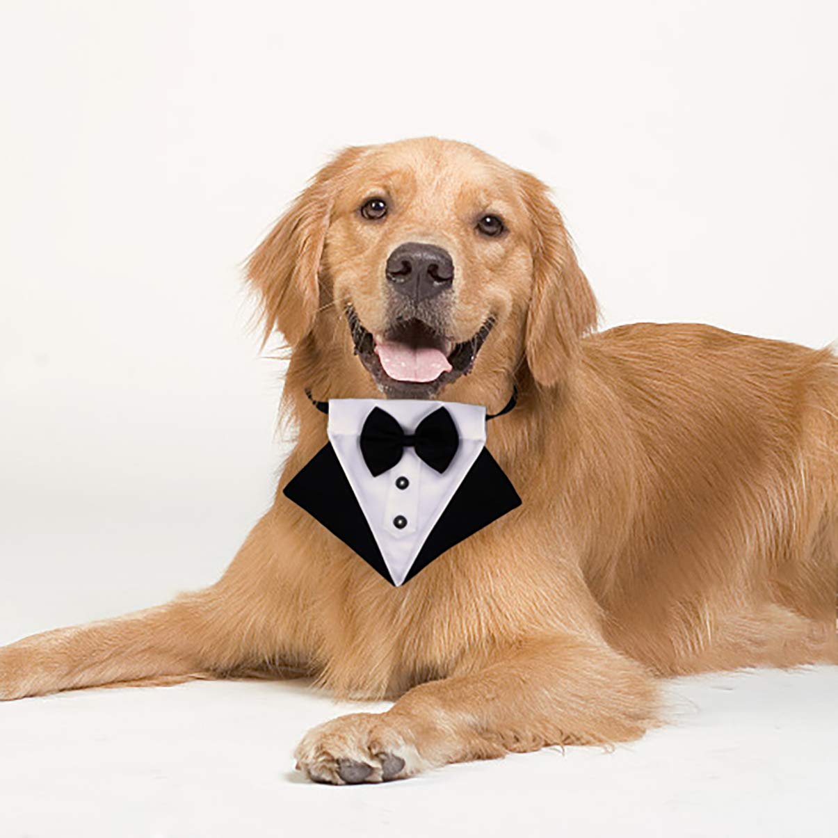 Sciarpe Per Animali Domestici - Confezione Da 2, In Modale, Bianche, 42x42x62cm - Foto 3