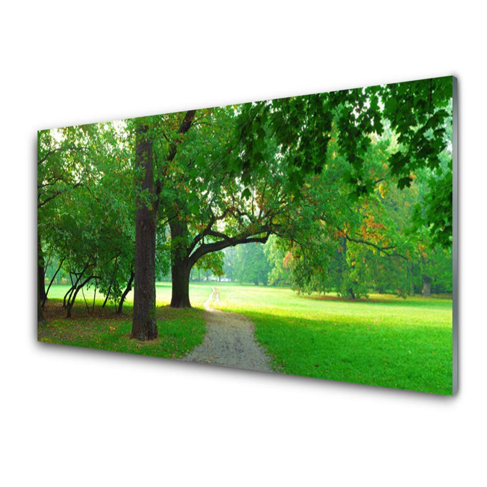 Sentier de randonnée en tableau en verre trempé Tulup pour salon lumineux 100x50