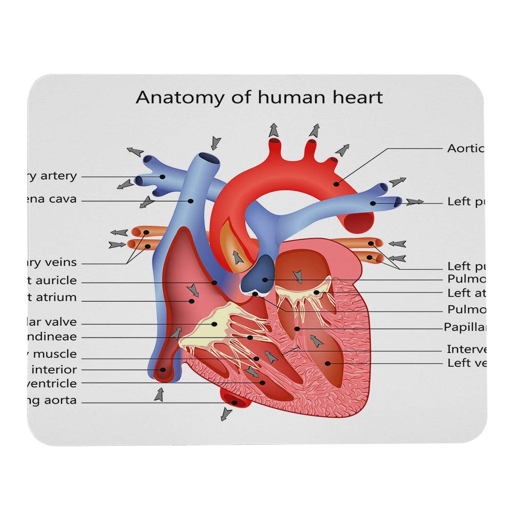 パク・ボゴム サイン入りフォトカード& カタログ マウスパッド MP-ECSCBGPSM_02.jpg
