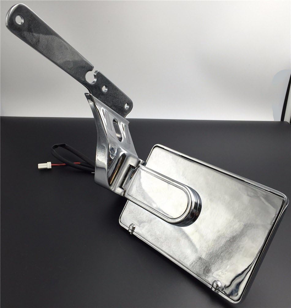 HONGK- Chrome Side-Mount License Plate Kit Rear Fender with LED light Skull Back Compatible with H-D 2004-later XL models (except XL1200T) Sporster 1200 Roadster 883 [B01BI87US2]