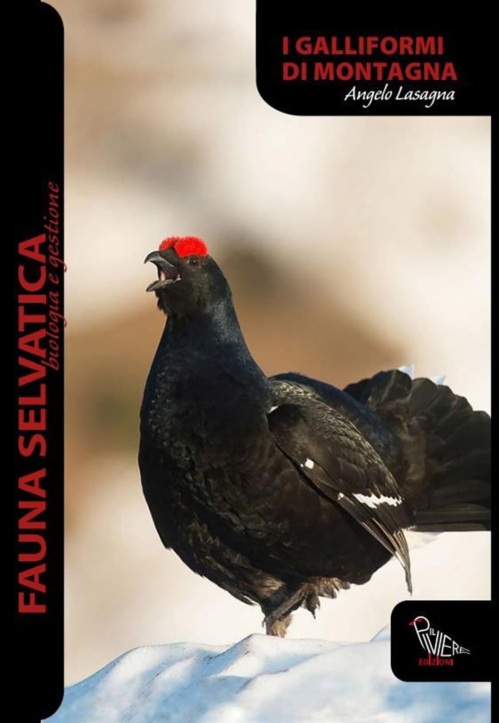 Galliformi Di Montagna - 4