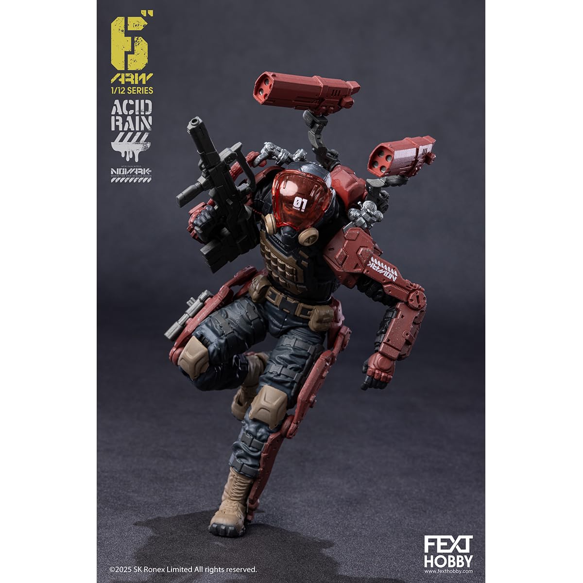 Amazon.co.jp: HiPlay FEXT HOBBY 1/12 ACID RAIN FXH-AR-001 THAME