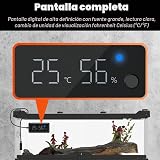 Ver la foto 2