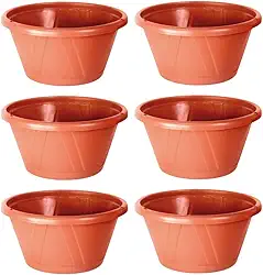 Kit 6 Vaso/cuia De Plástico Terracota Resistente Com Prato Antidengue Cuia 22 Nobre Cerâmica Para Rosa do Deserto…