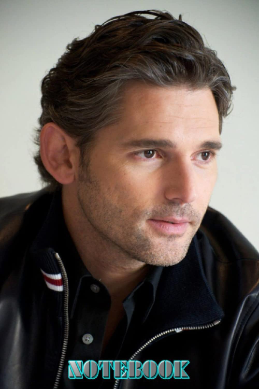 Notebook : Eric Bana Day Planner Notebook Great for Birthday or Christmas Gift Home or Work Vol #455